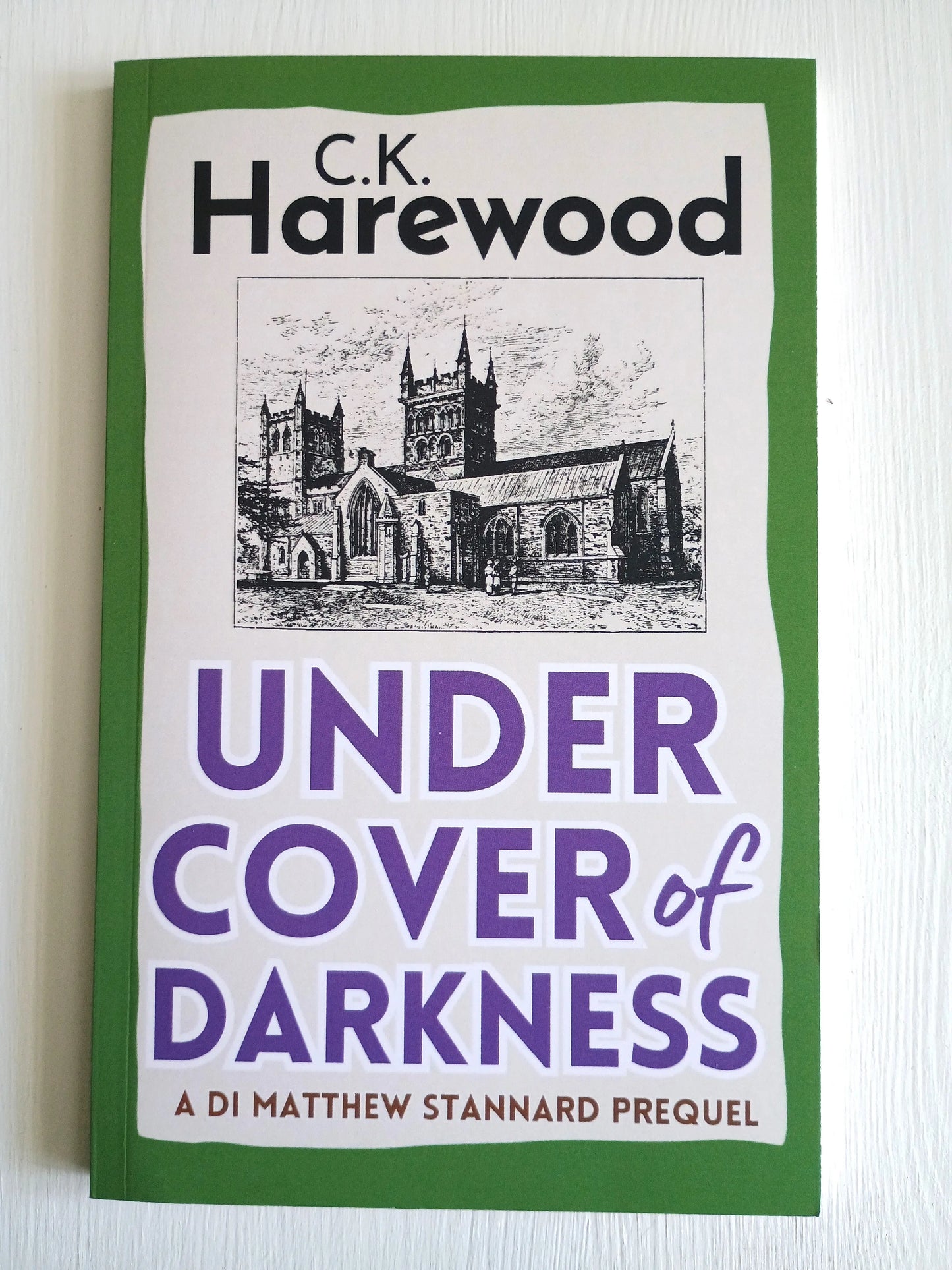 Under Cover of Darkness Police Procedural