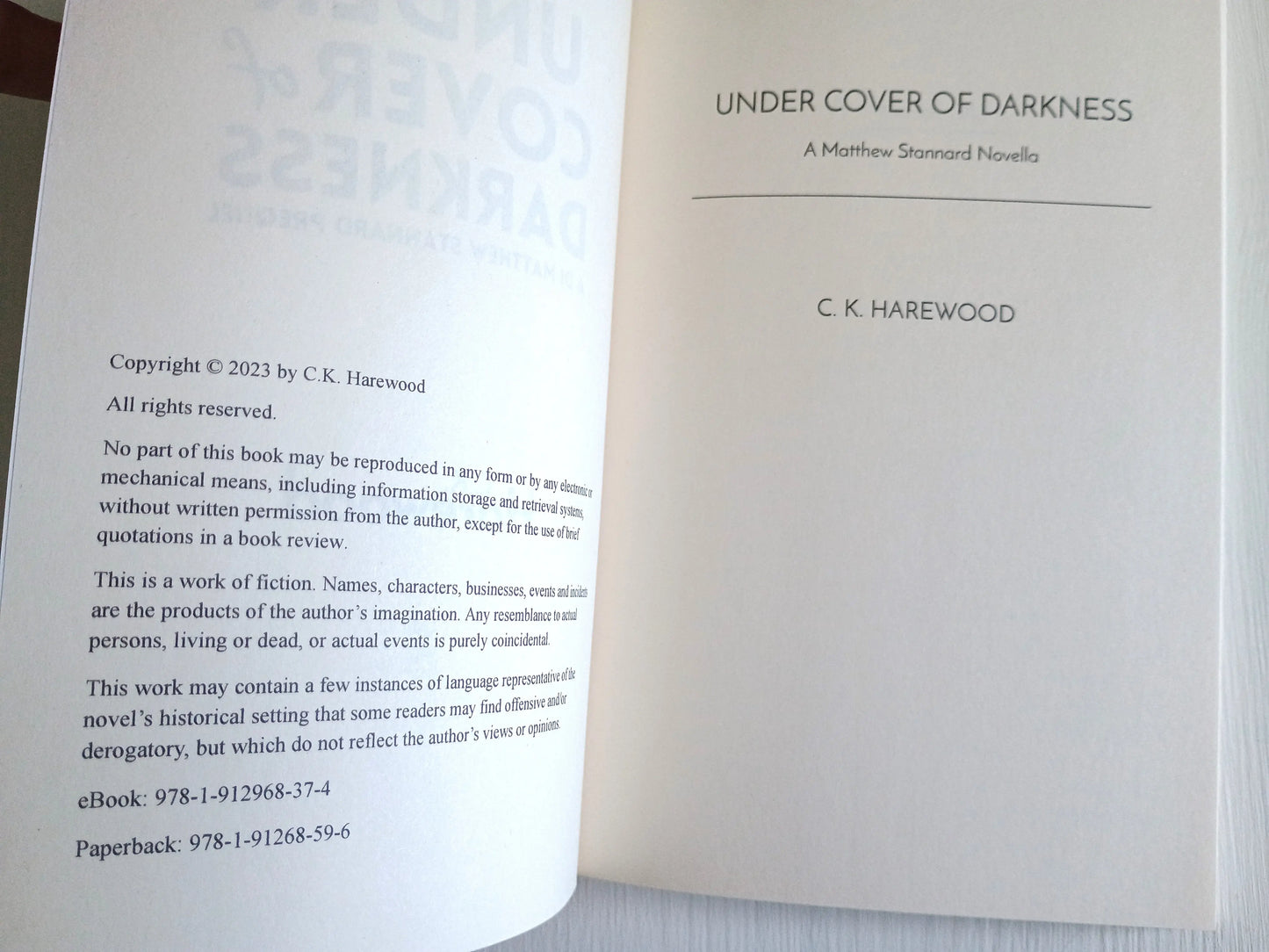 Under Cover of Darkness Police Procedural