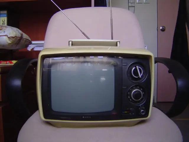 Portable television